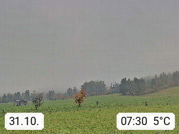 31.10. 07:30