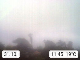 31.10. 11:45