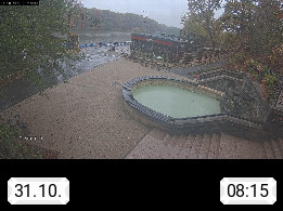 31.10. 08:15