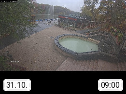31.10. 09:00