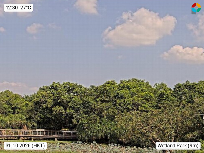 Wetland Park