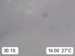 30.10. 16:00