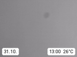 31.10. 13:00