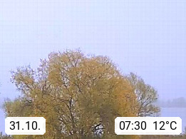 31.10. 07:30