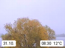 31.10. 08:30