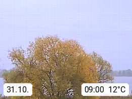 31.10. 09:00