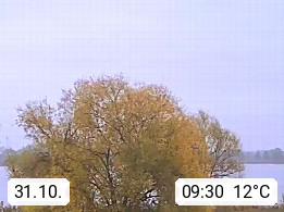 31.10. 09:30