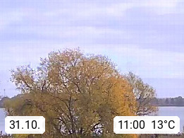 31.10. 11:00