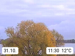 31.10. 11:30