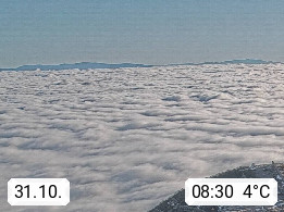31.10. 08:30
