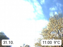 31.10. 11:00