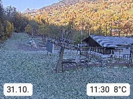 31.10. 11:30