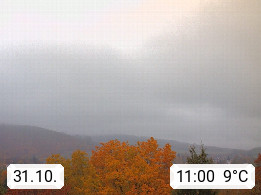31.10. 11:00